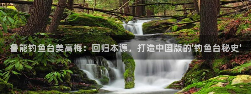 壹号娱乐官网