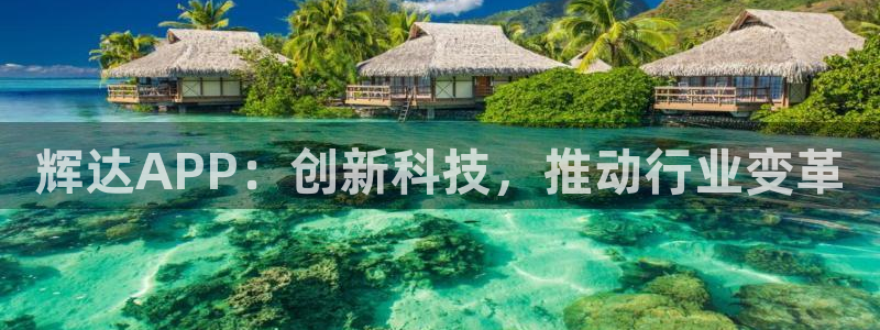 壹号娱乐,apk.