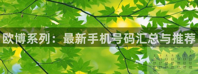 壹号大舞台网站