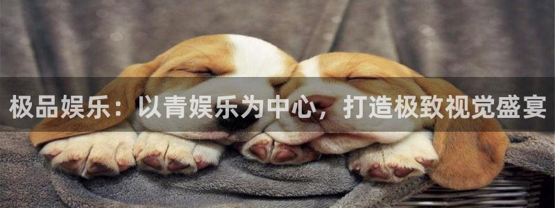 壹号官方app下载安装