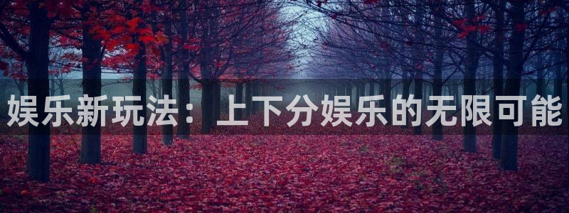 壹号app官网版下载
