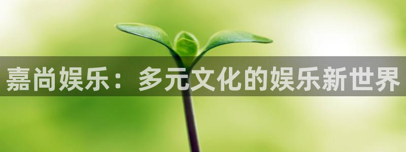 壹号娱乐网站