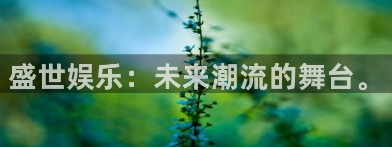 壹号娱乐官网下载