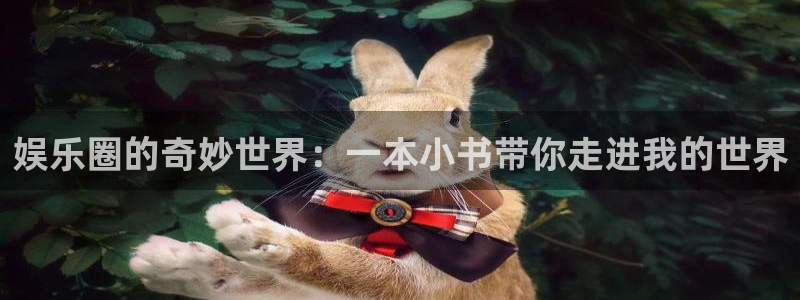 壹号娱乐强制退款流程详解